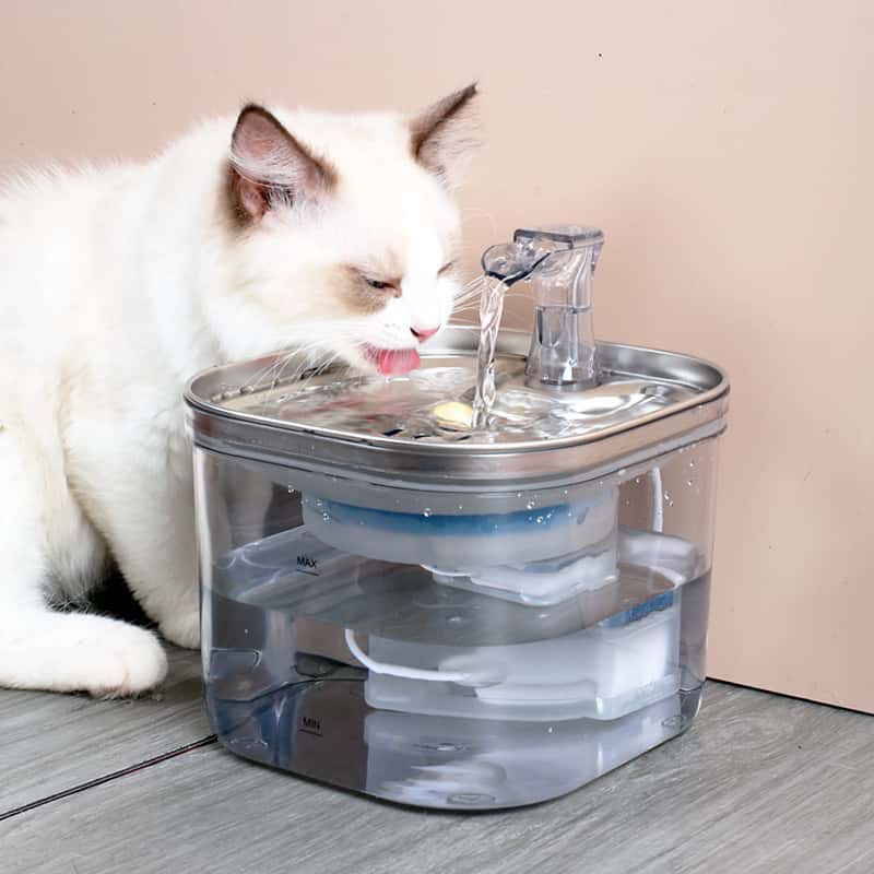 Fontaine inox AquaSteel — Hydratation pro en acier 304